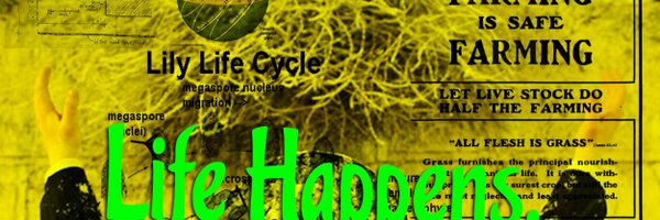 SeedRevival Profile Banner