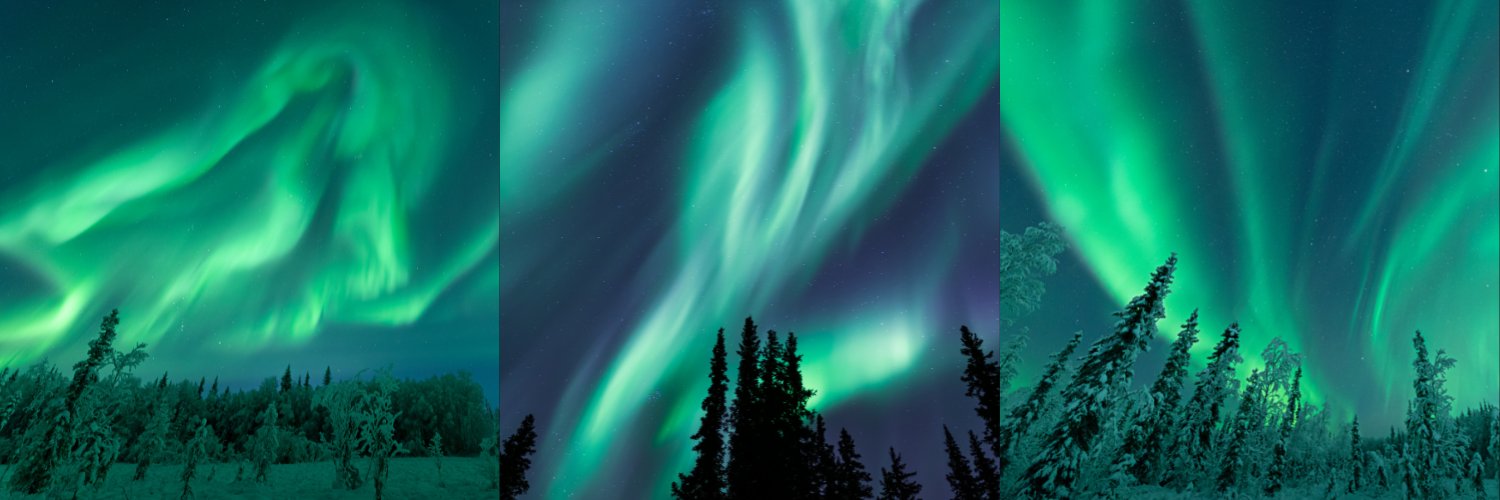 Eric Bleicher banner