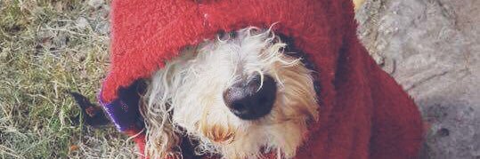 Mica Verón ♚ banner