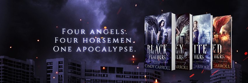 CindyPCarroll's profile banner image