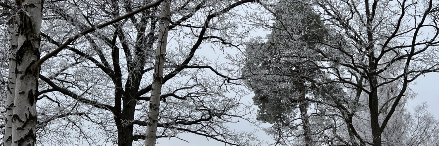 MiaWidell's profile banner image
