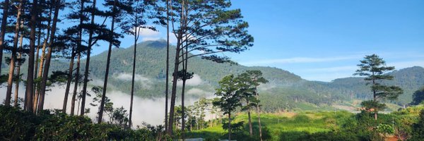 magicstone1412 Profile Banner