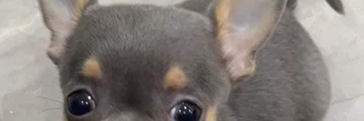 ro_ber_tooo's profile banner image