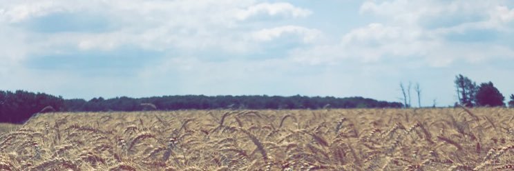 farquhas's profile banner image