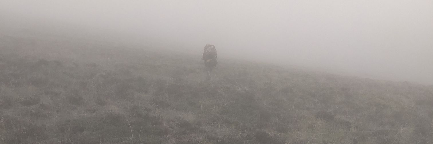 CWallBrendanB's profile banner image