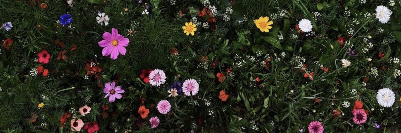 vickyperess's profile banner image