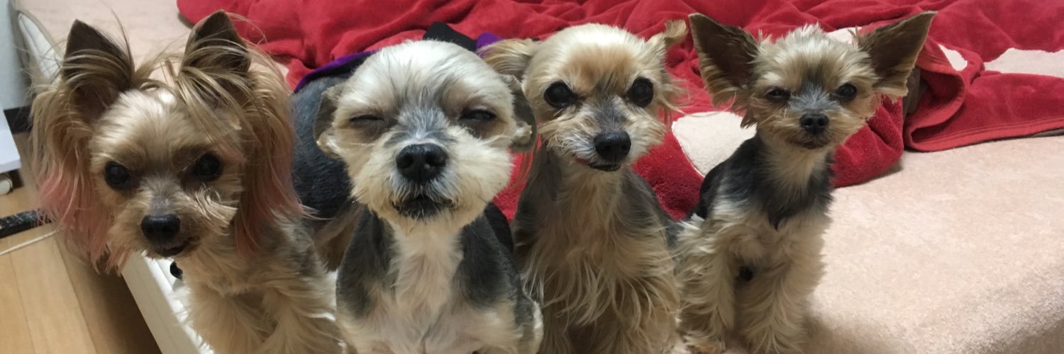 lovedog_mana's profile banner image