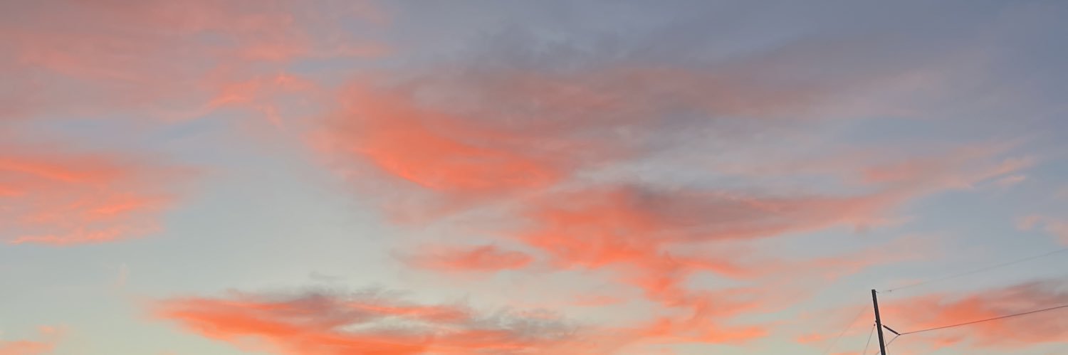 marissaalee13's profile banner image