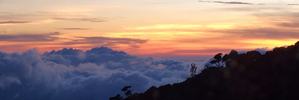m_takehide's profile banner image