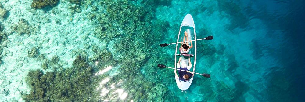 Laura Davidson PR banner