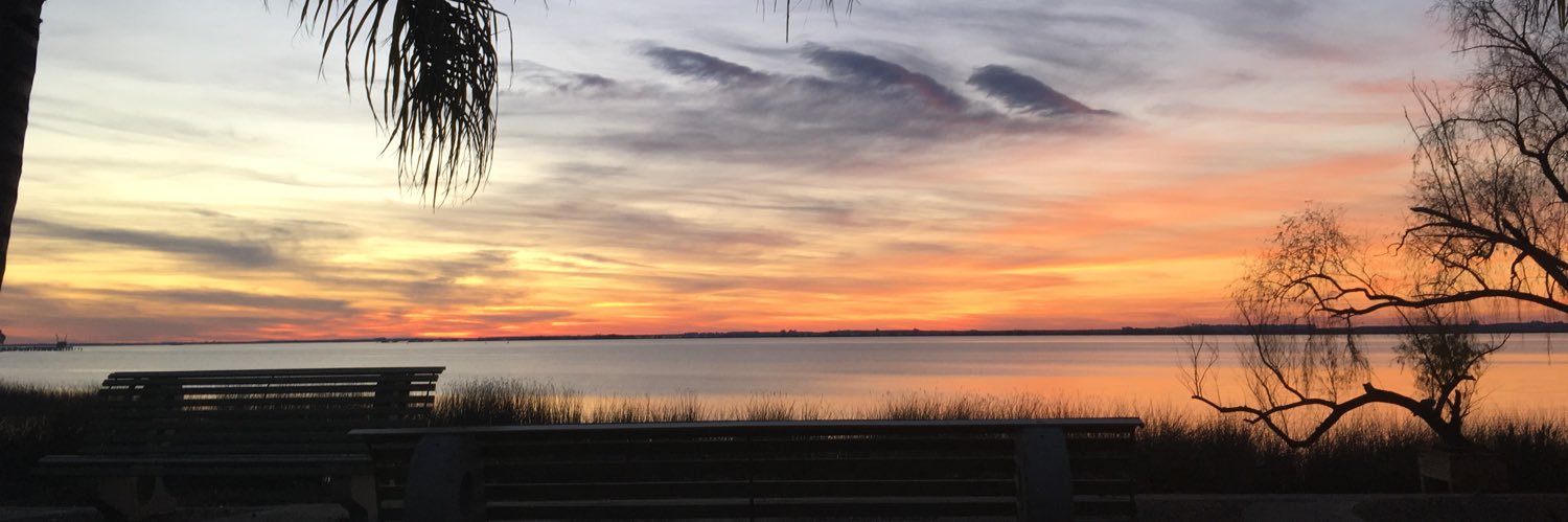 borggio's profile banner image