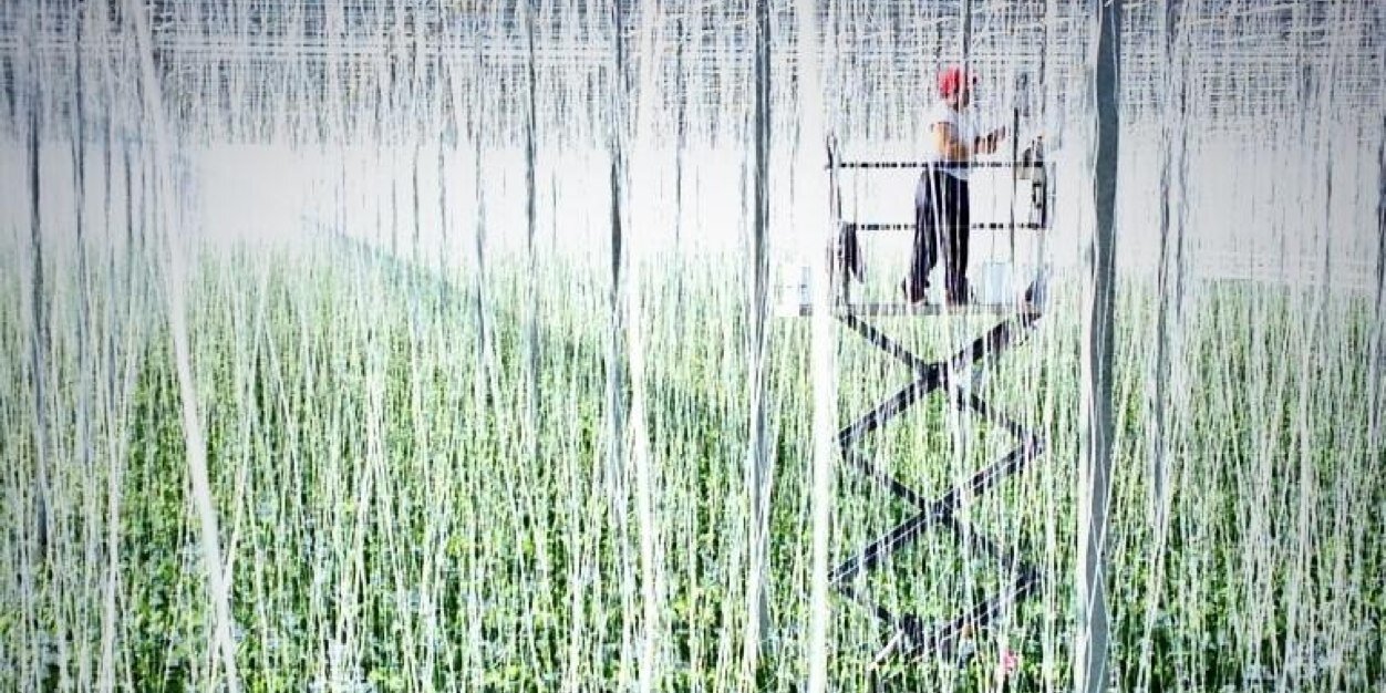 AALP Class 15 banner