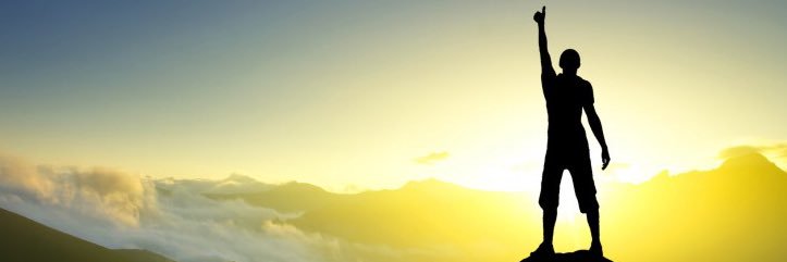 Professional Optimist banner