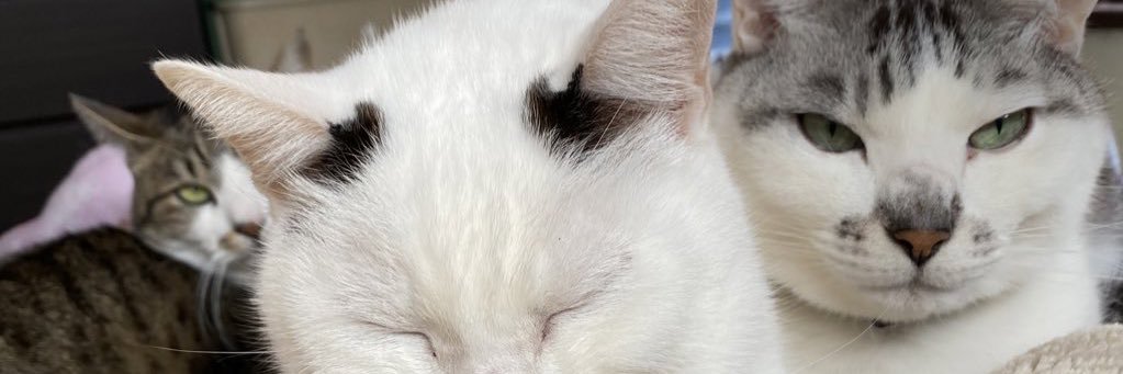 田中 崇良 banner