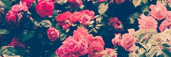 tralskmm's profile banner image