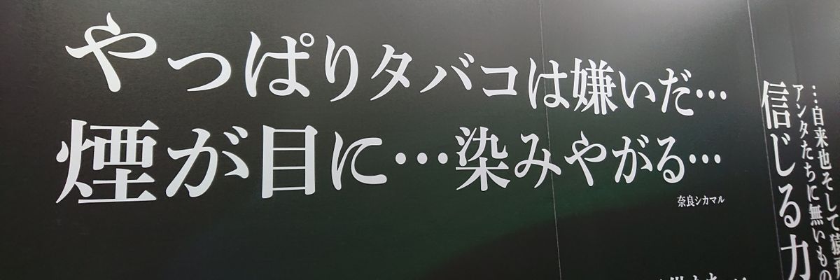 haru@(・ω・) banner