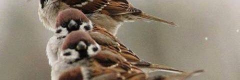 VioletaGlezR's profile banner image