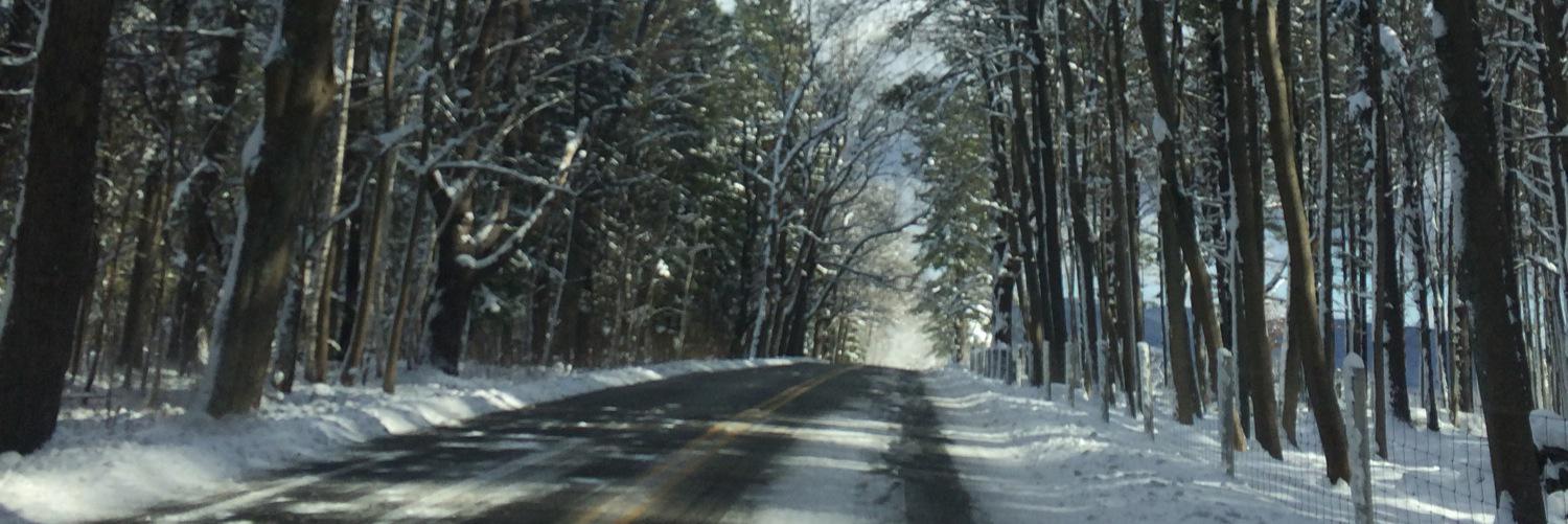 etgoldst's profile banner image