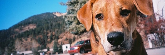 coolbeans_britt's profile banner image