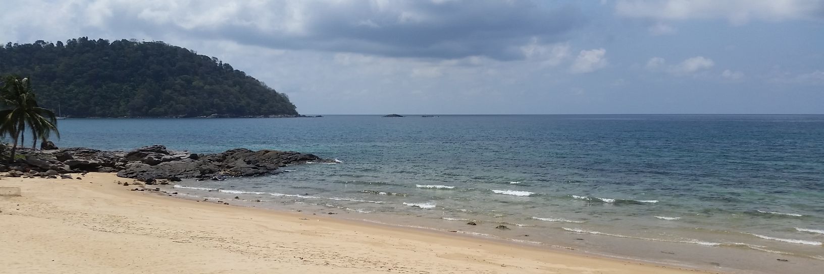 phemy de booijs banner