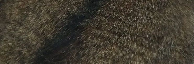 HarunOzb's profile banner image