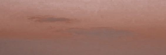 mizscaptureII's profile banner image