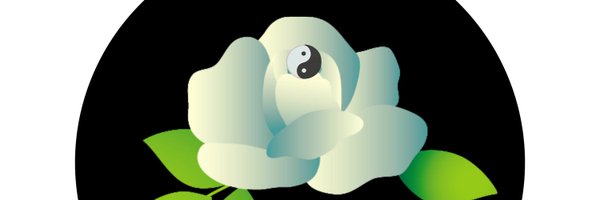 tosaedo Profile Banner