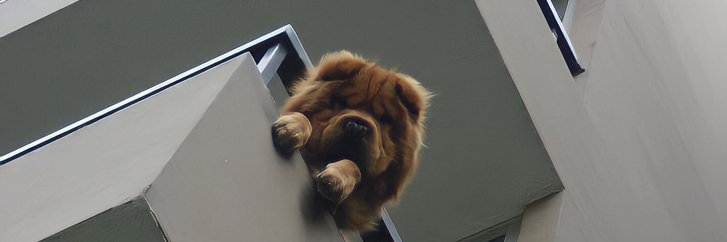 MariPlaya_'s profile banner image