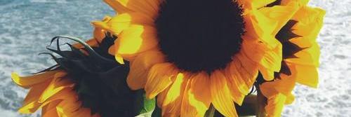 Dudeixons__'s profile banner image