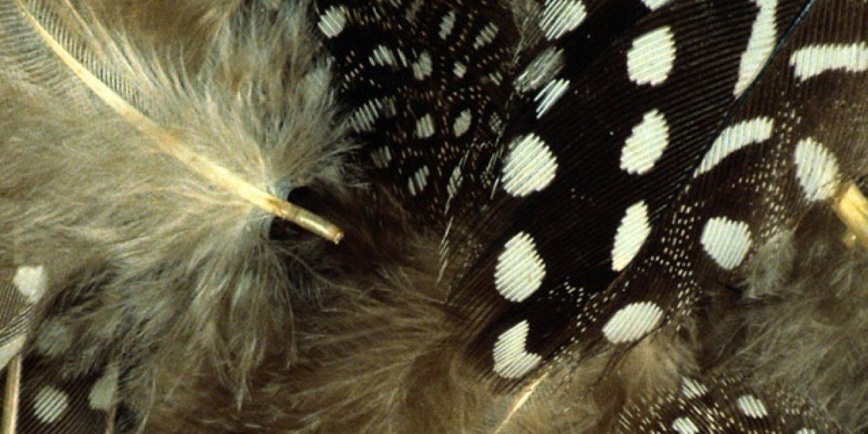 Be_You_Tiful_12's profile banner image