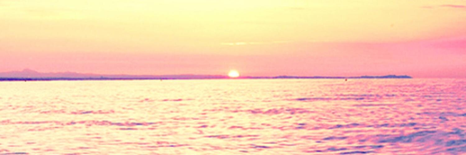 barbcsika's profile banner image