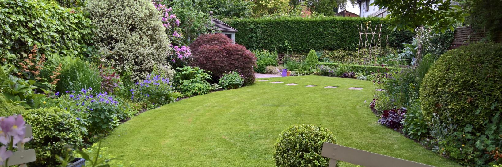 TFGardenDesign's profile banner image