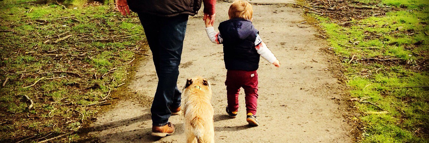 Baxter the Border banner