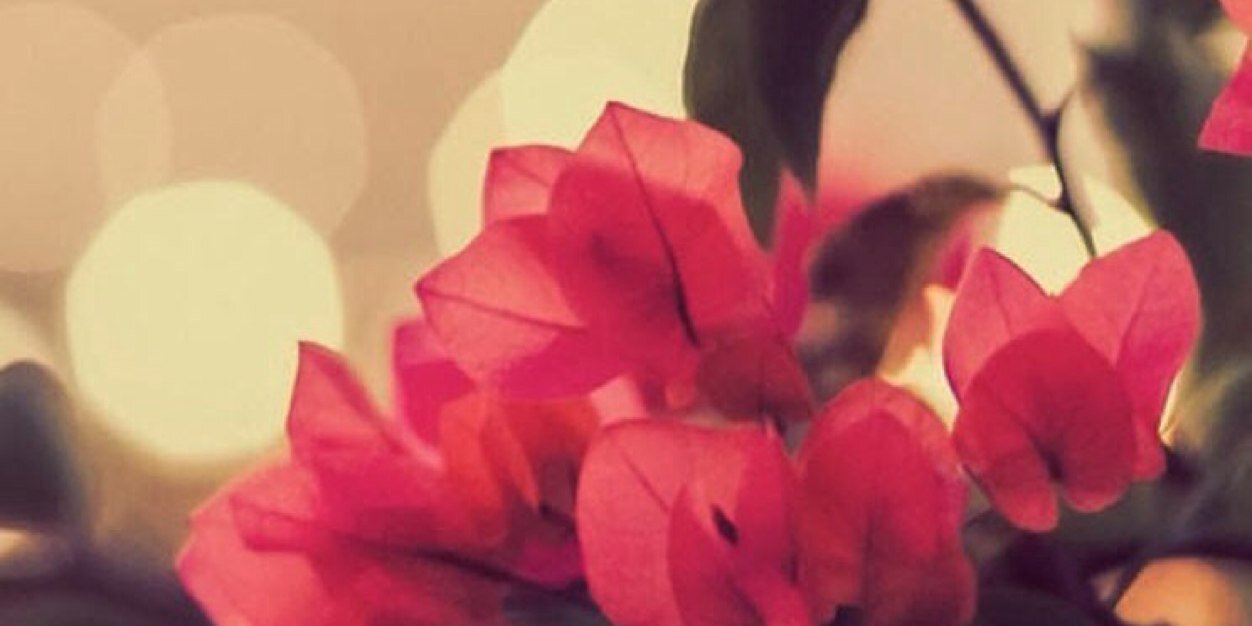 _Ruby_Tuesday's profile banner image
