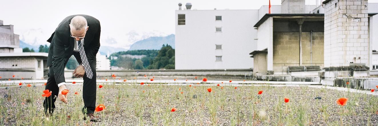 mediaworkluzern's profile banner image