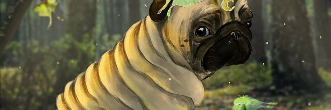 wafflepug's profile banner image