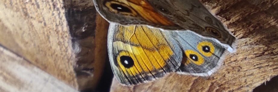 hacim79's profile banner image