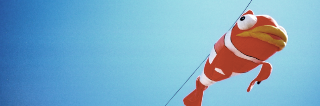 PingreelTweets's profile banner image