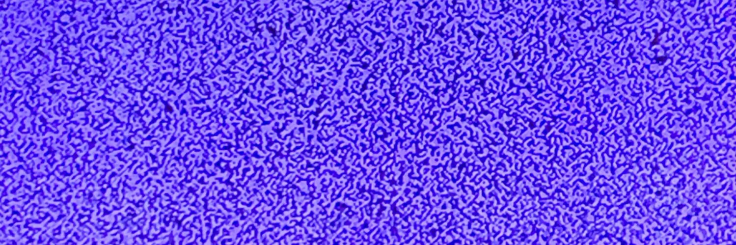 wtzp_'s profile banner image