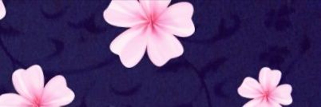 diiachuu's profile banner image