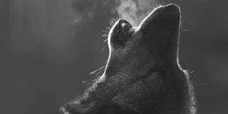 Felip220's profile banner image