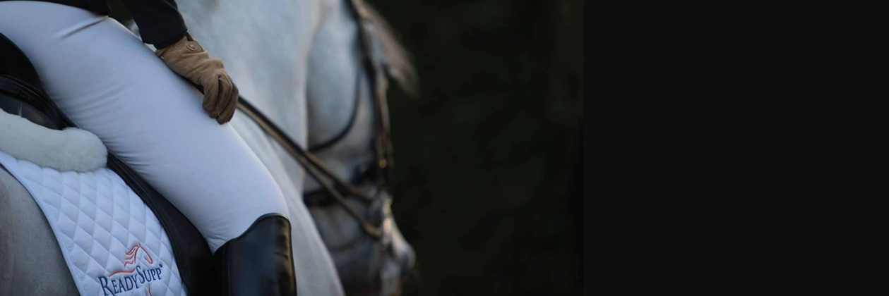 ReadySupp banner
