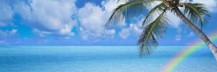 emily17420747's profile banner image