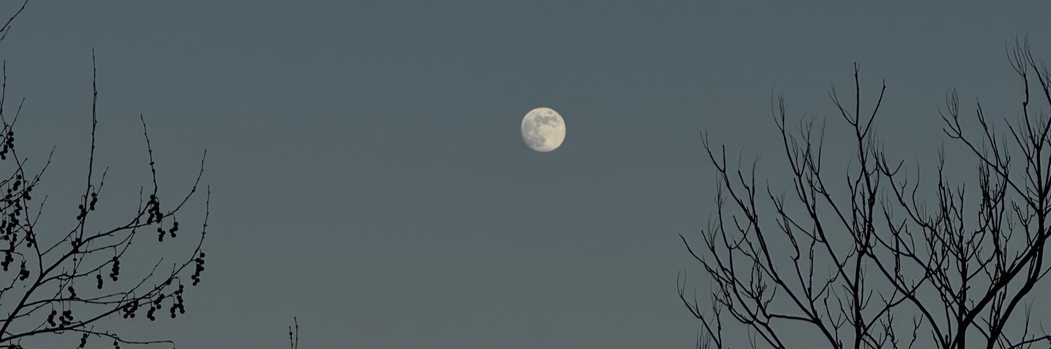 metecvz's profile banner image