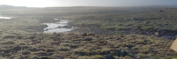 RolandRabeau Profile Banner