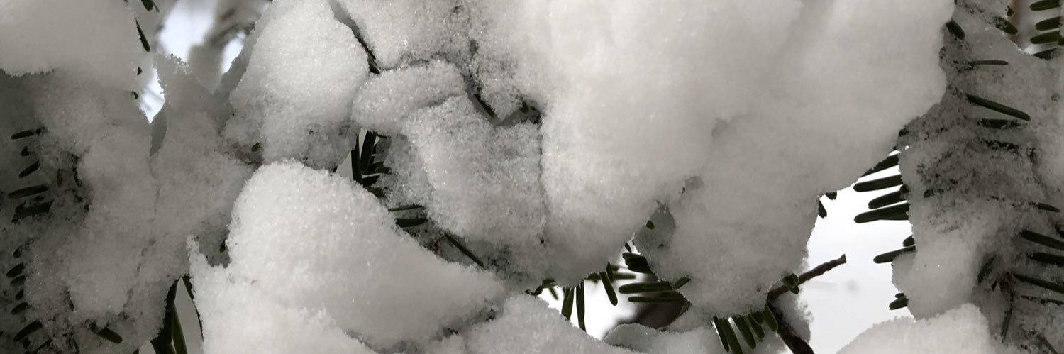 MUN Geography banner