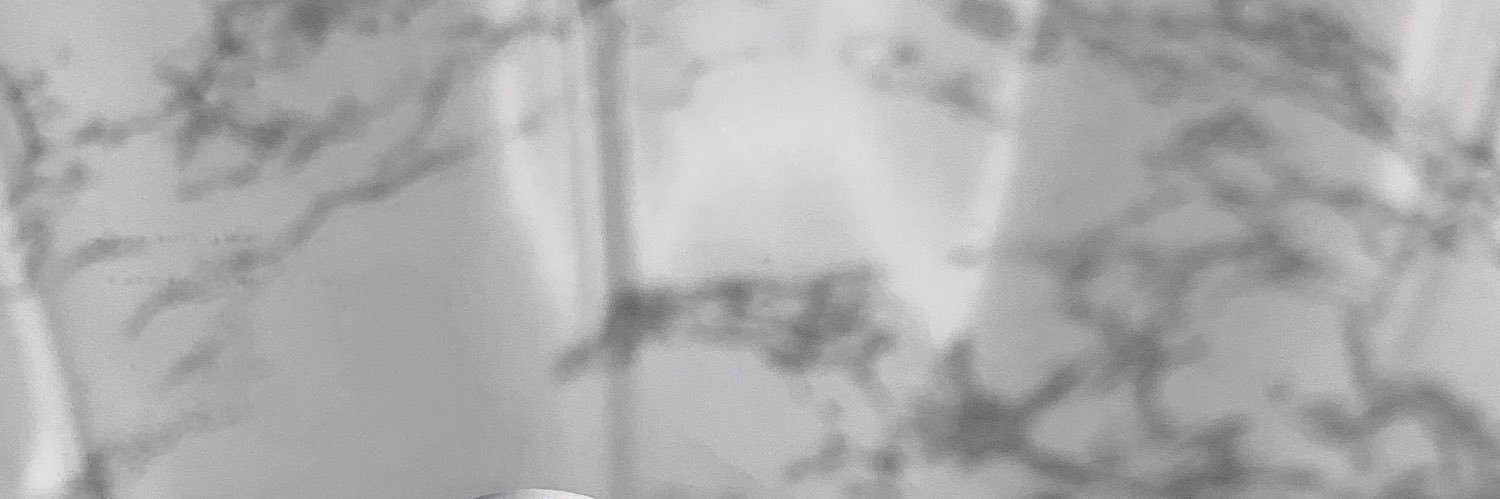 zh____21's profile banner image