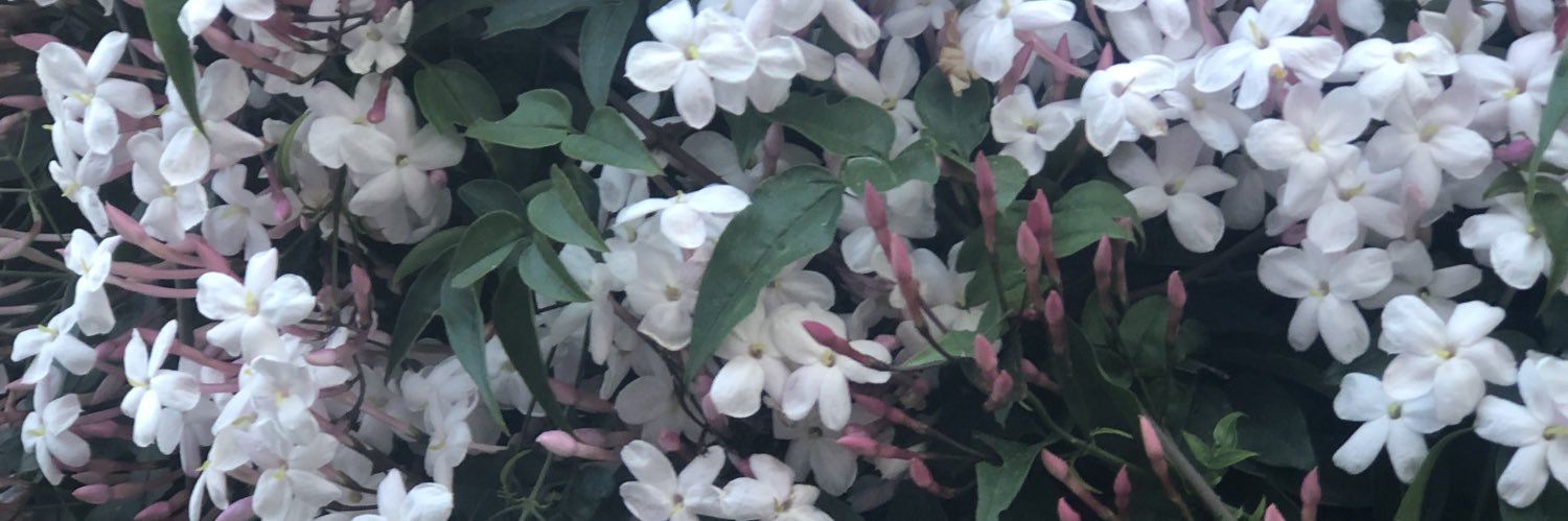 LadyA1128's profile banner image