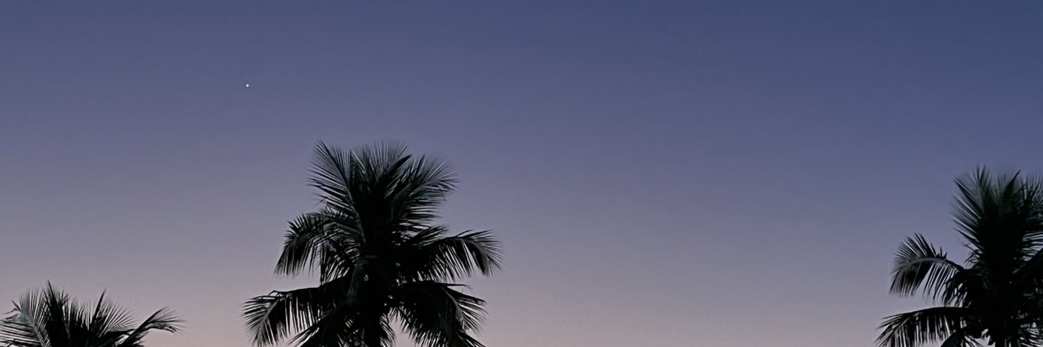 gpfagner's profile banner image