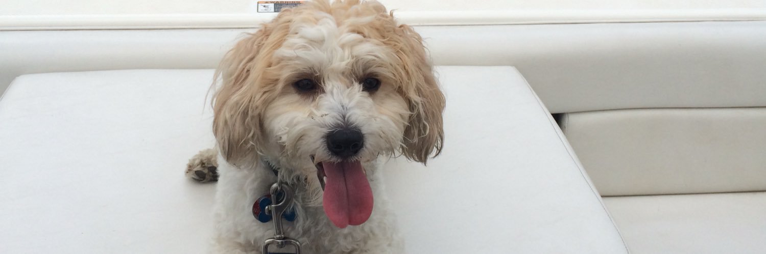 Beth Gaertner banner